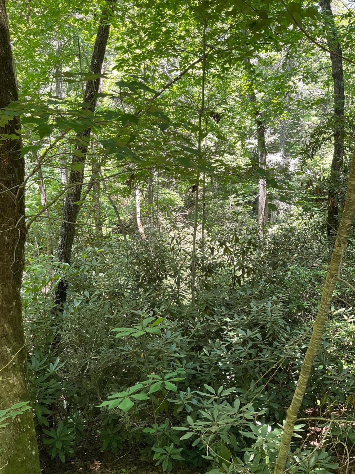 Tallulah Gorge Retreat Lakemont Экстерьер фото
