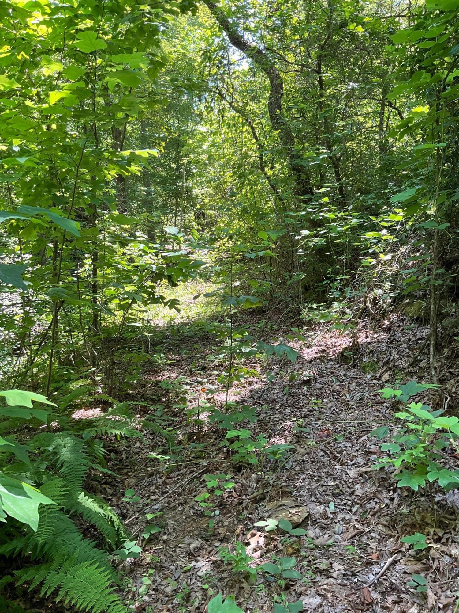 Tallulah Gorge Retreat Lakemont Экстерьер фото
